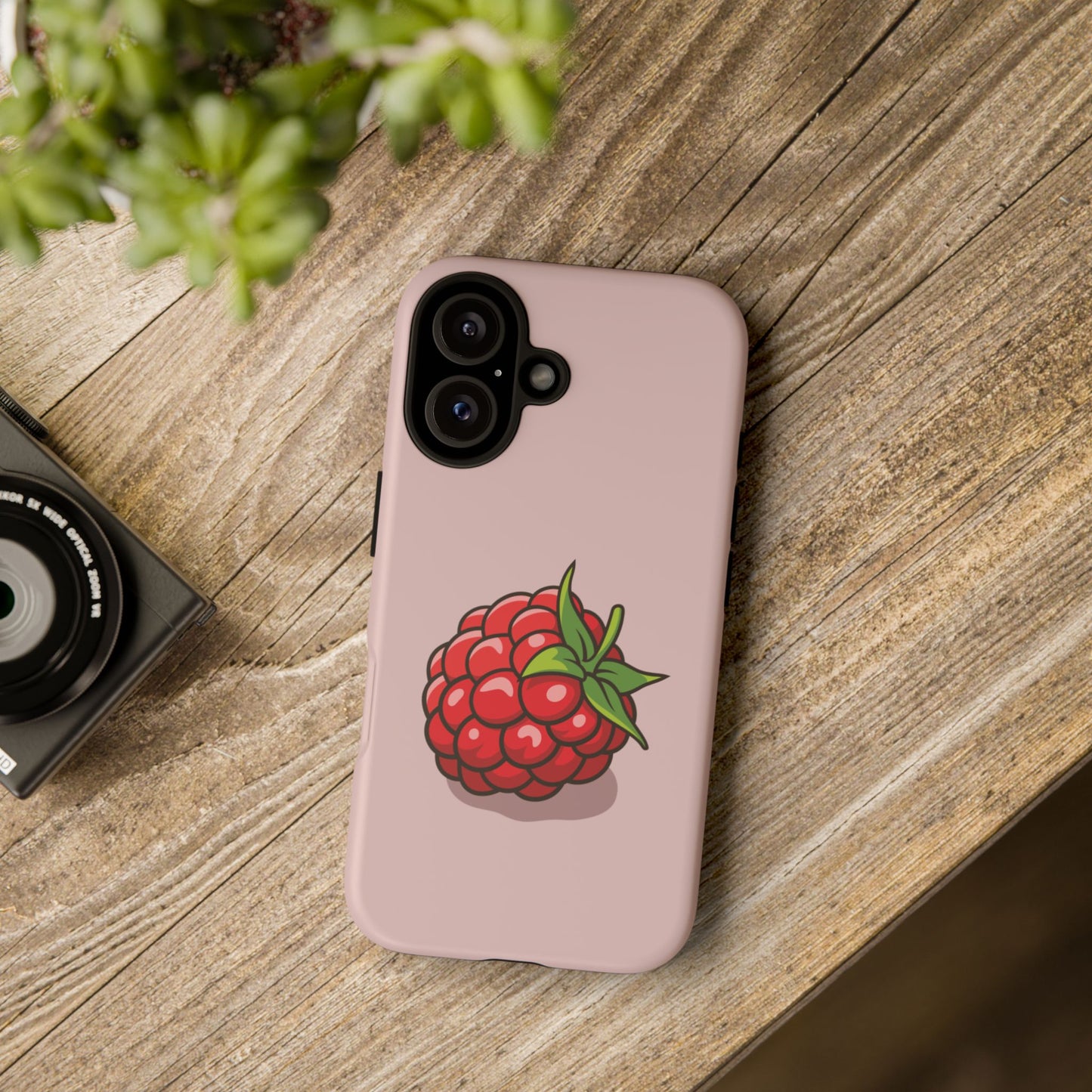 Raspberry Case