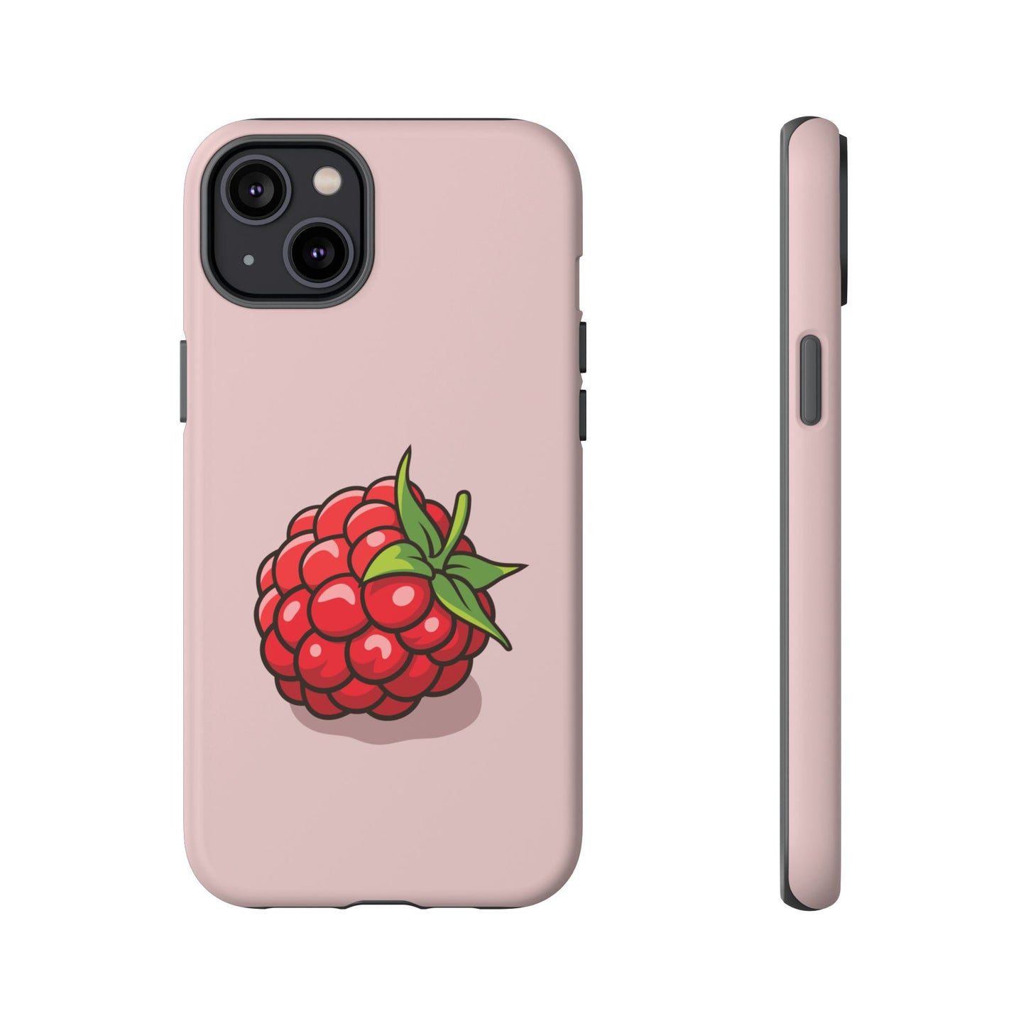 Raspberry Case