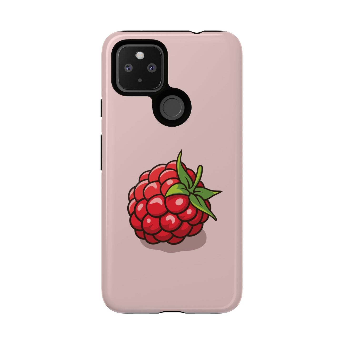 Raspberry Case