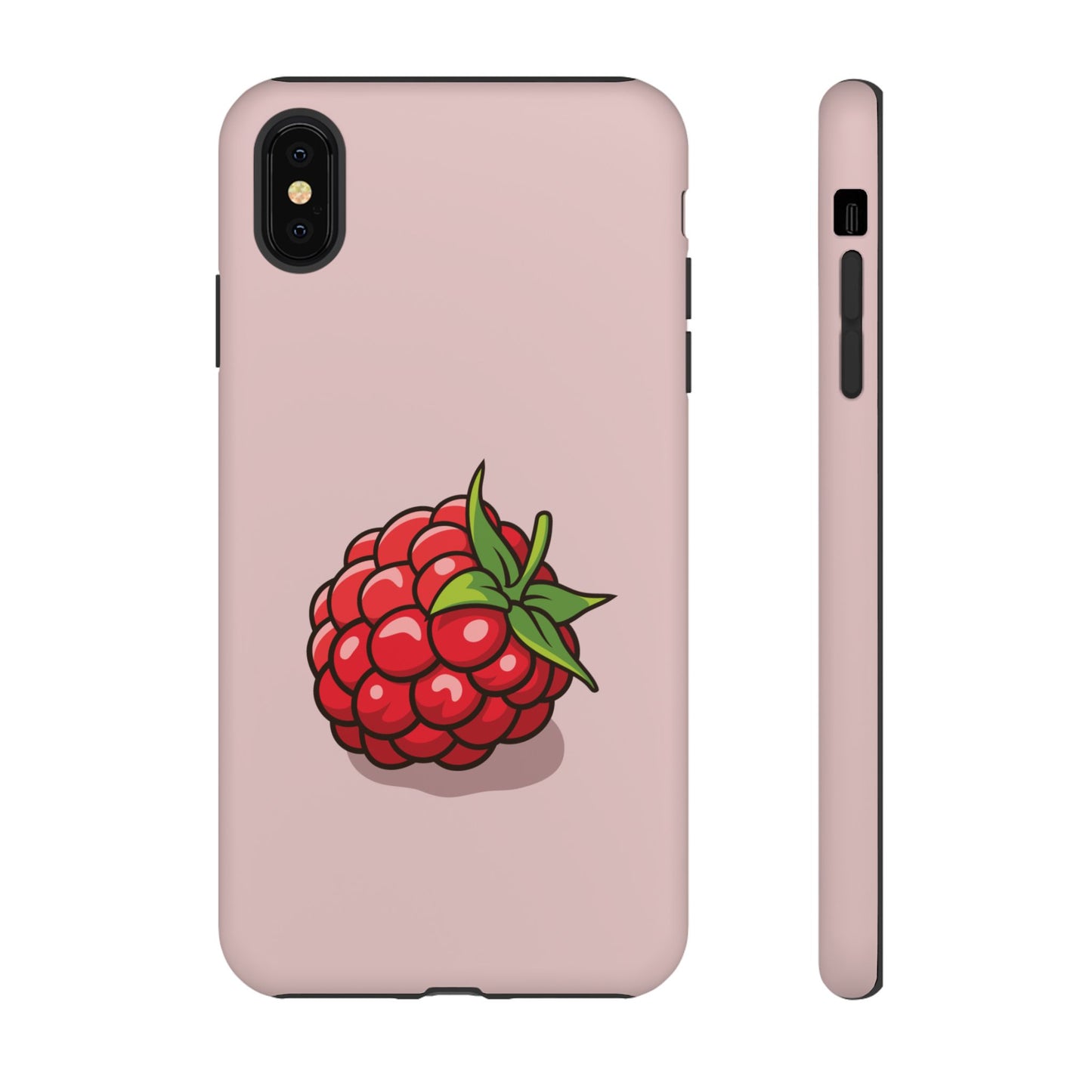 Raspberry Case