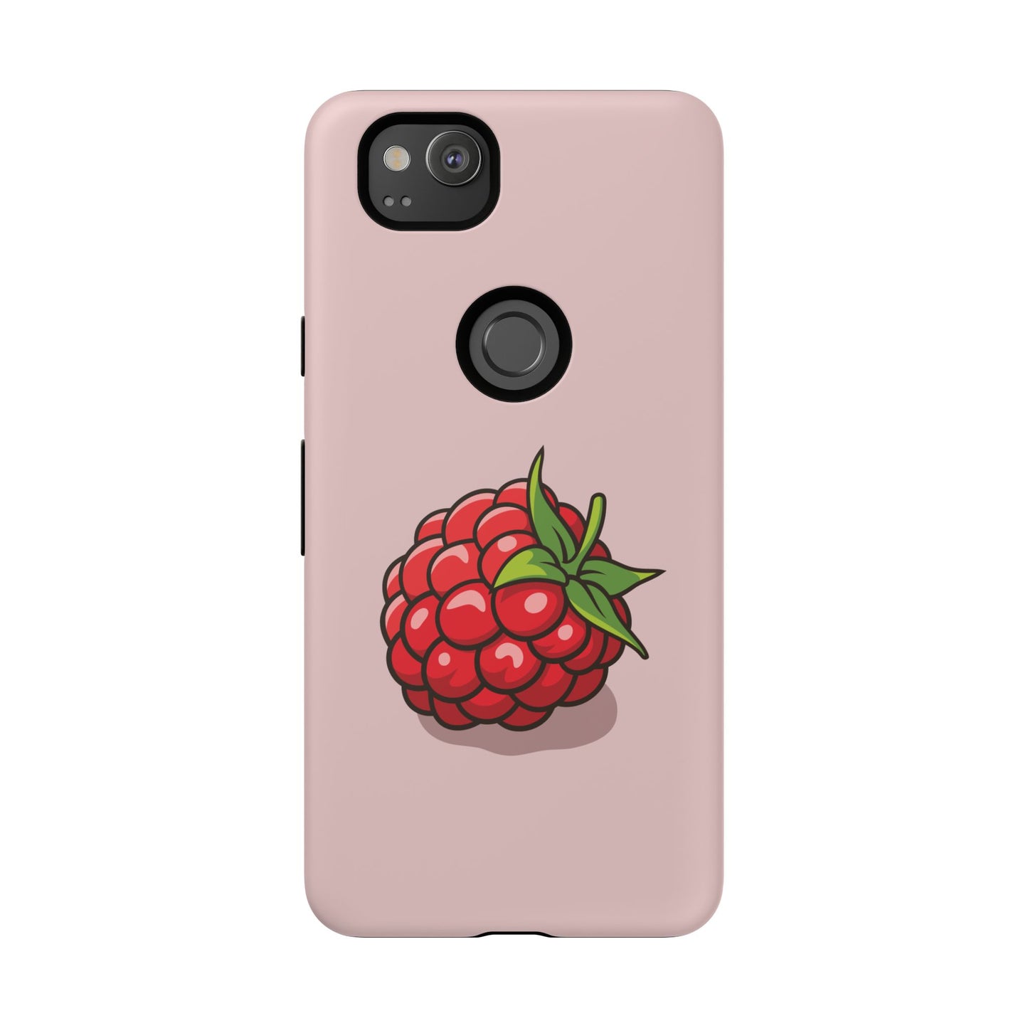 Raspberry Case