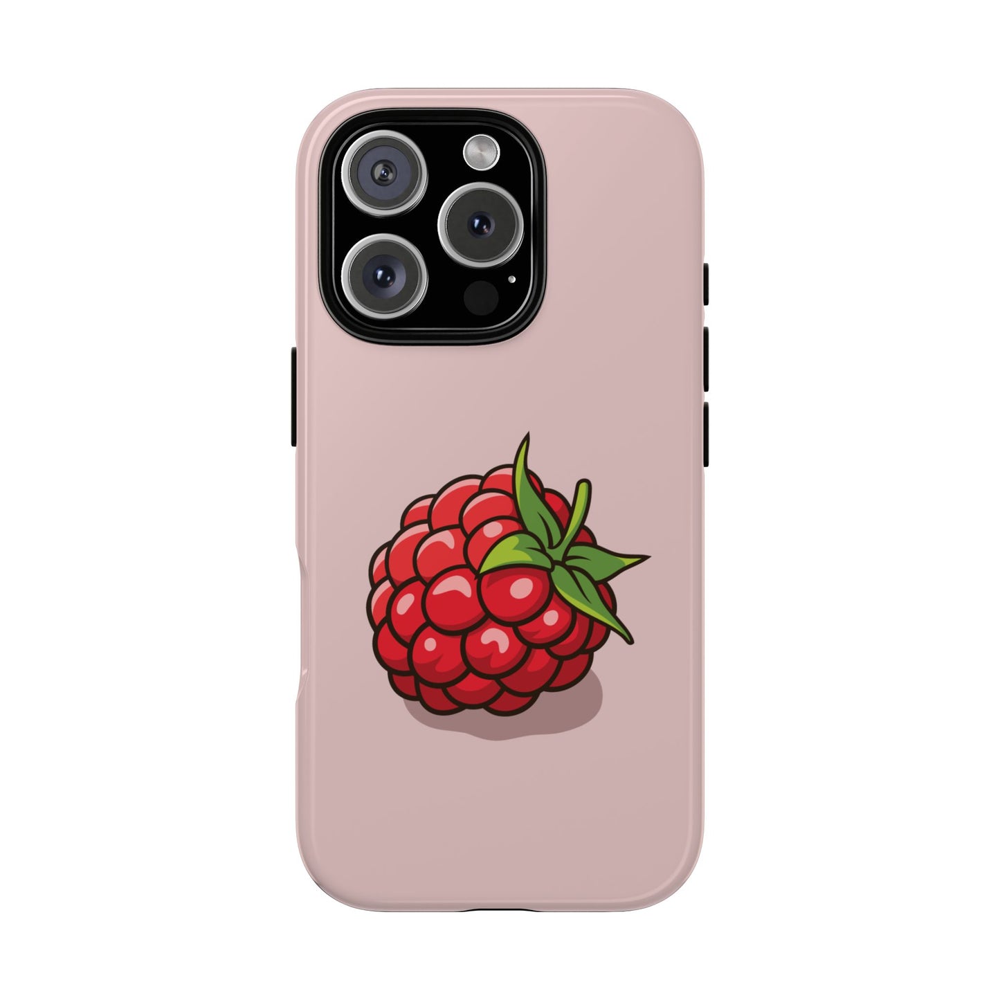 Raspberry Case