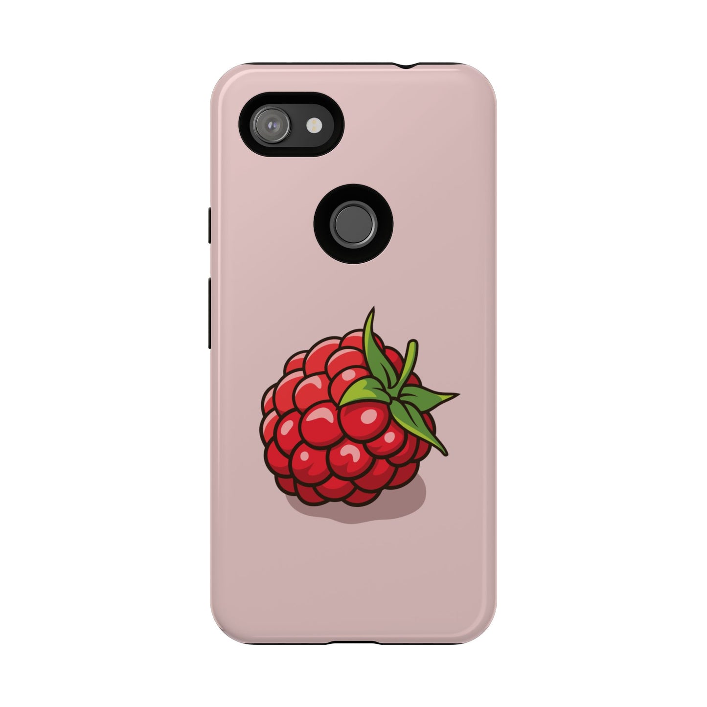 Raspberry Case