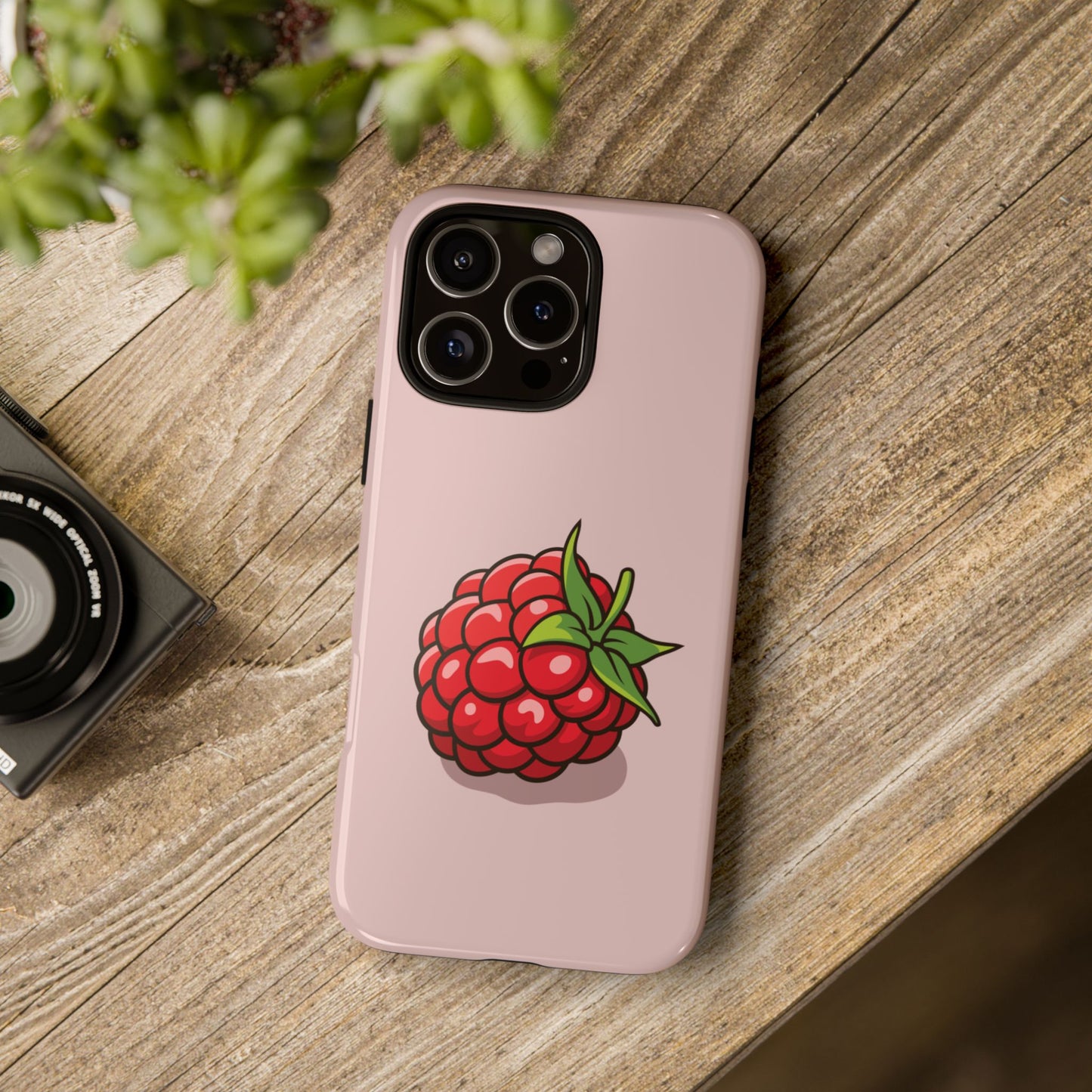 Raspberry Case