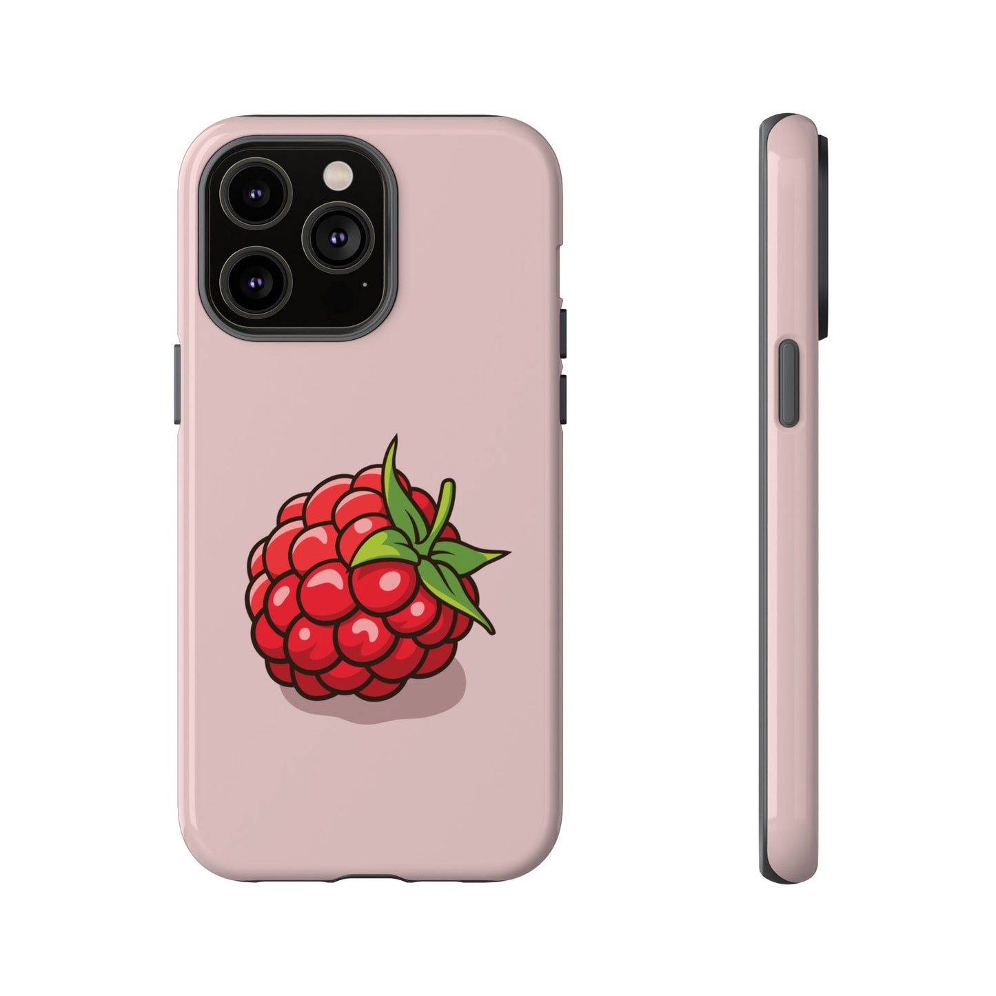 Raspberry Case