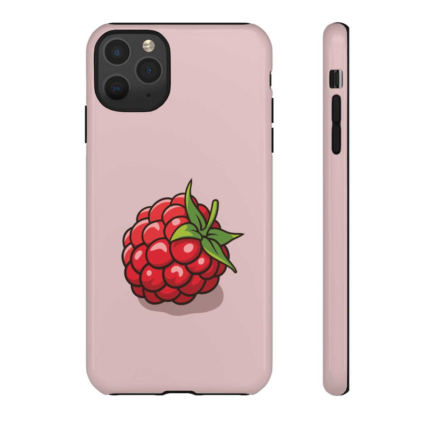 Raspberry Case