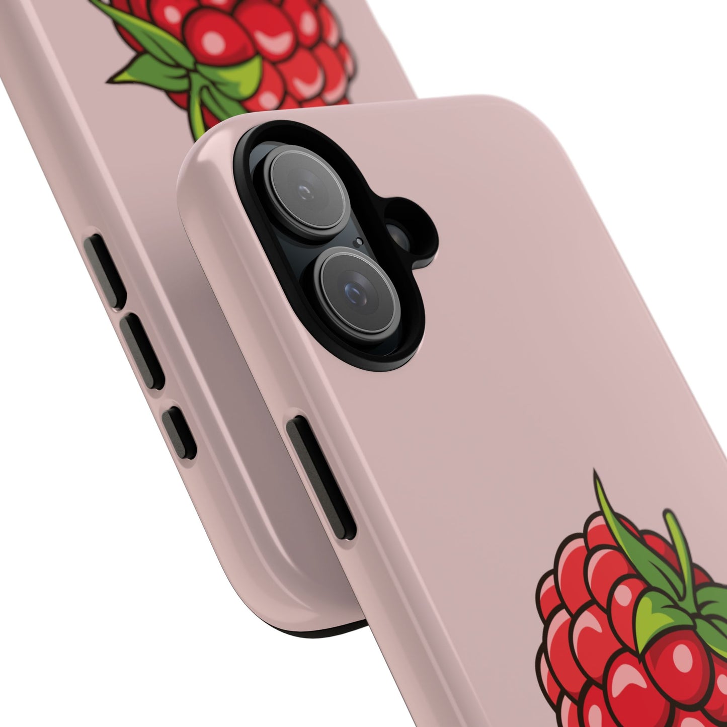 Raspberry Case