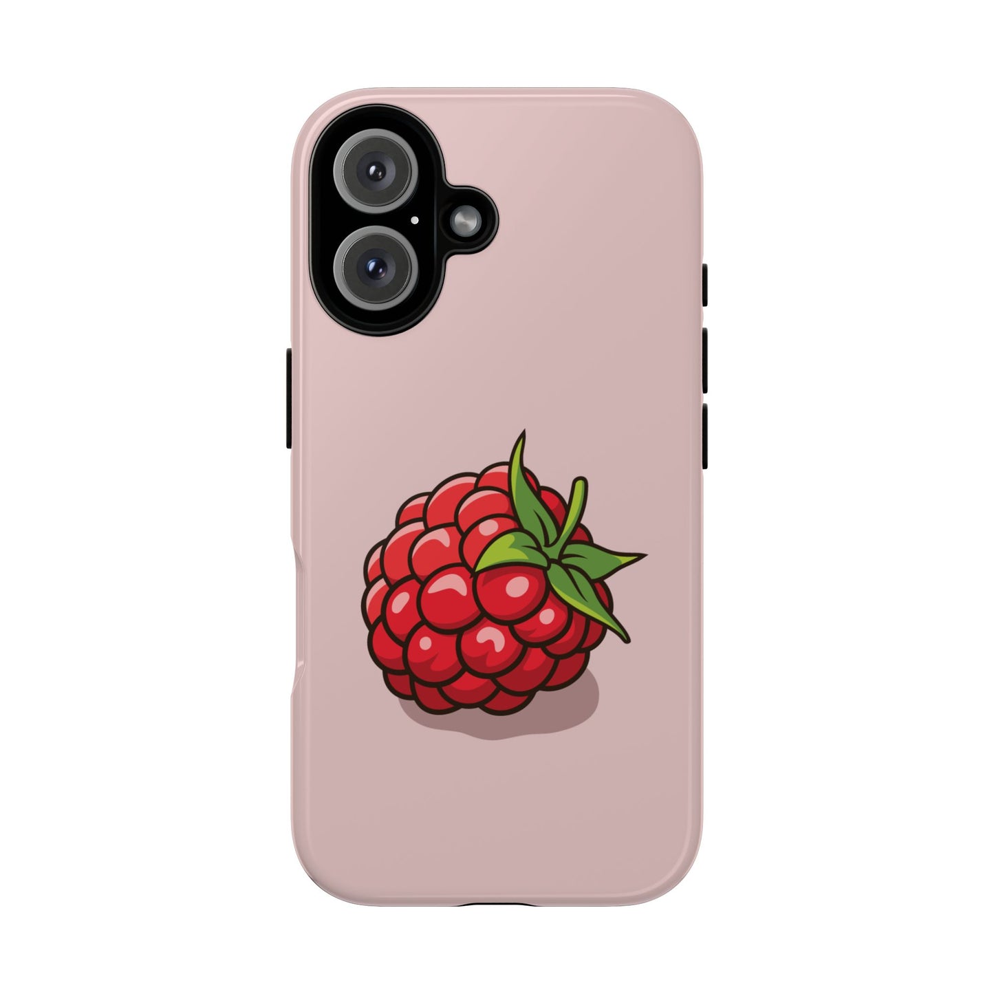 Raspberry Case