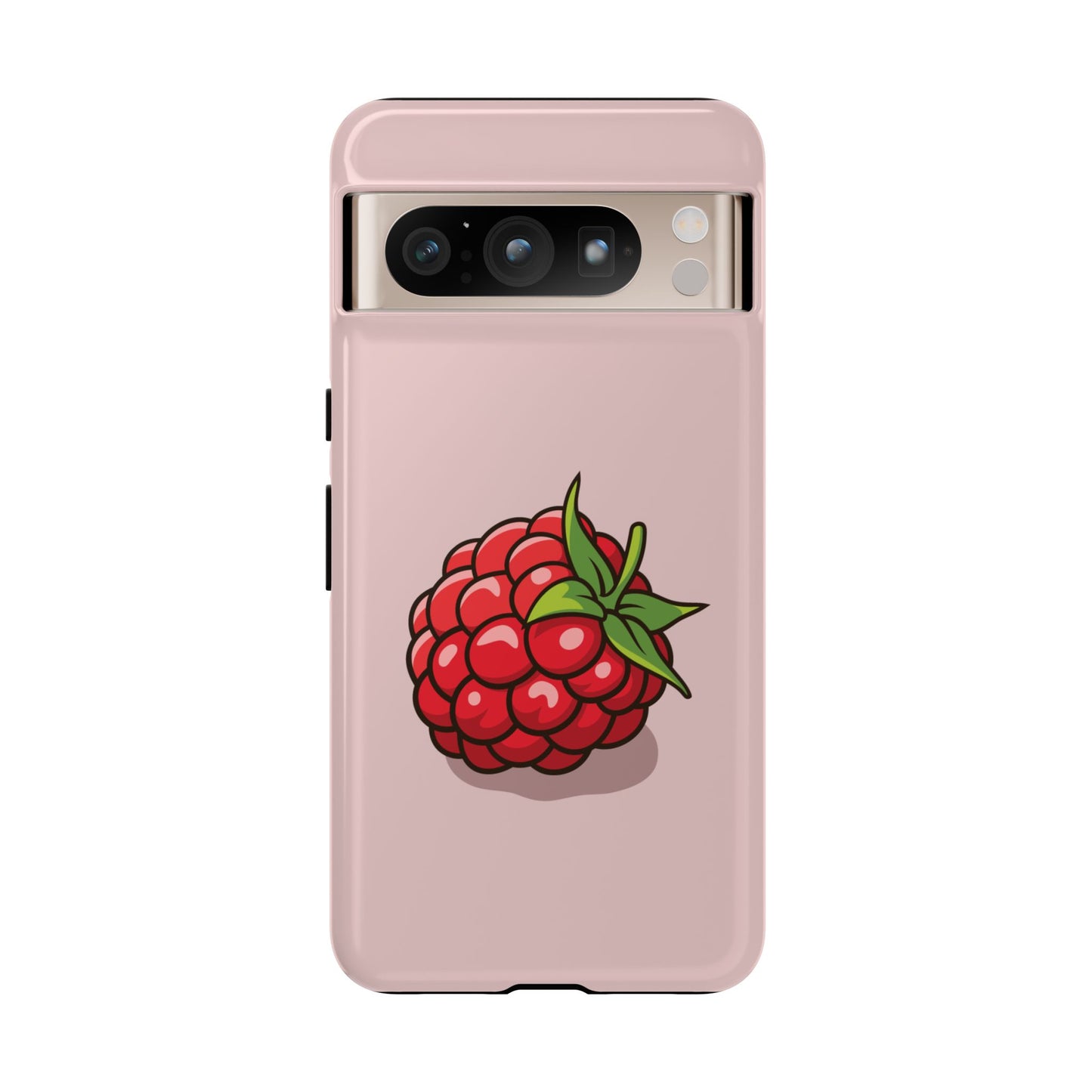 Raspberry Case