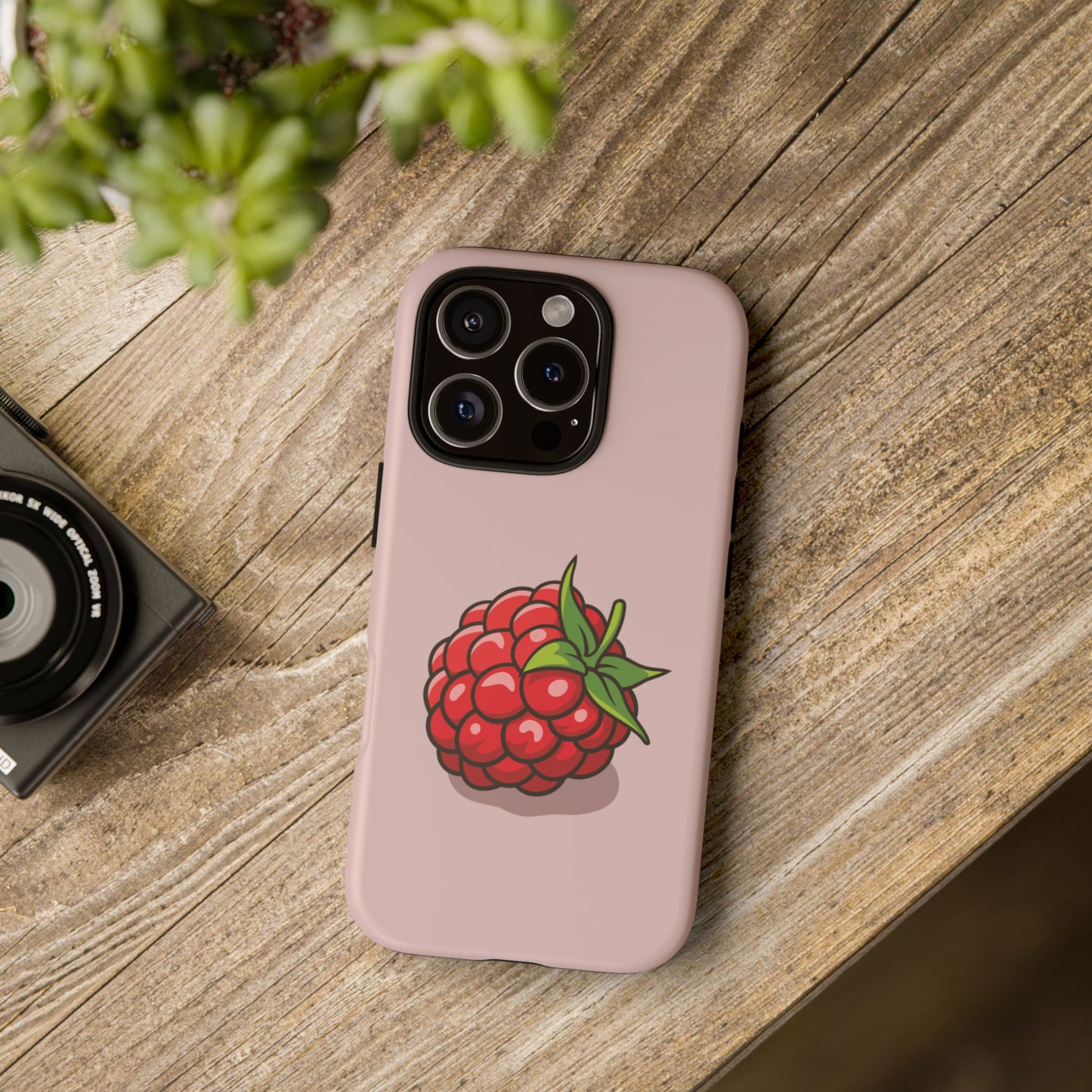 Raspberry Case