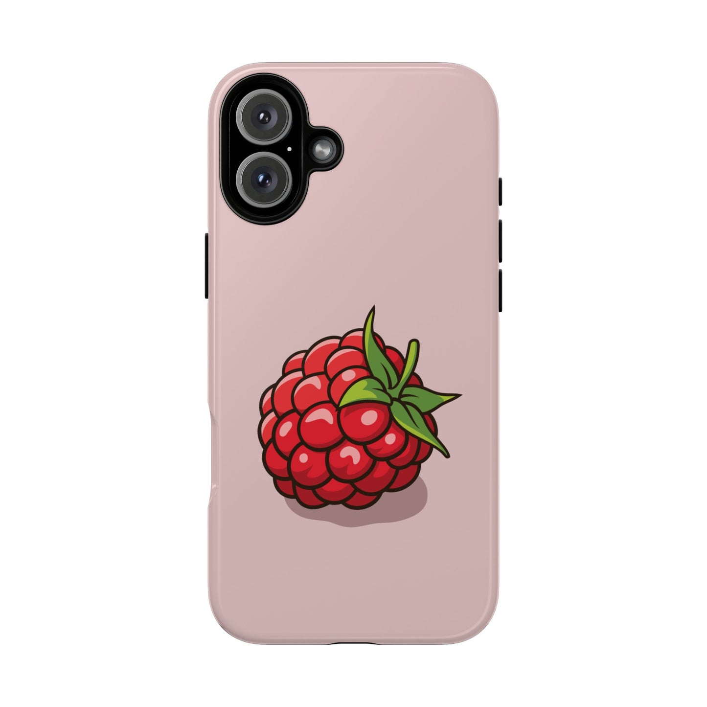 Raspberry Case