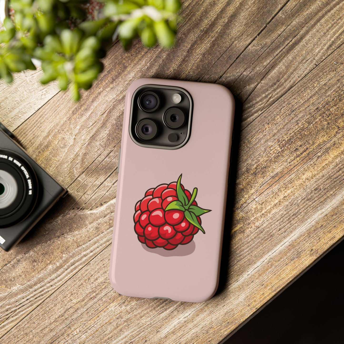 Raspberry Case