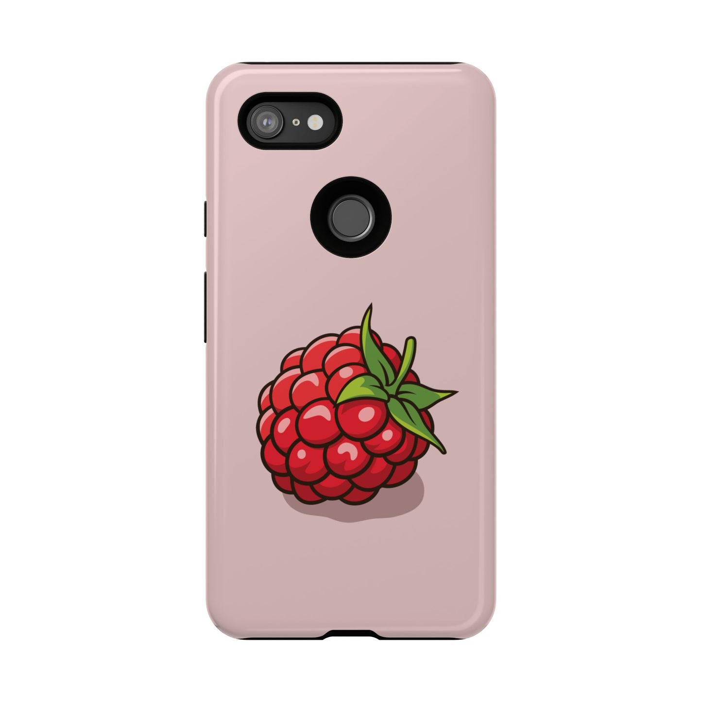 Raspberry Case