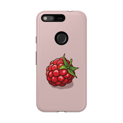 Raspberry Case