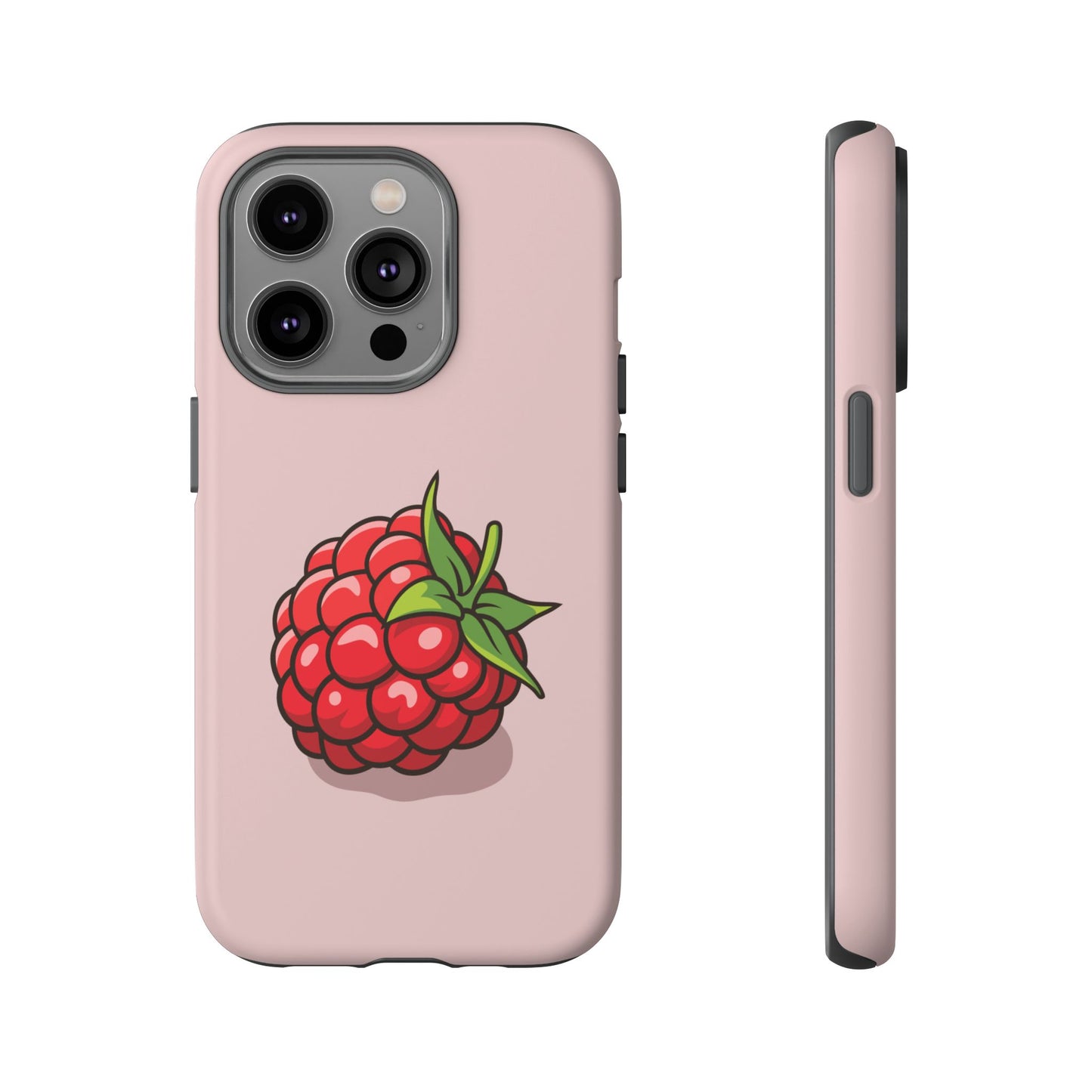 Raspberry Case