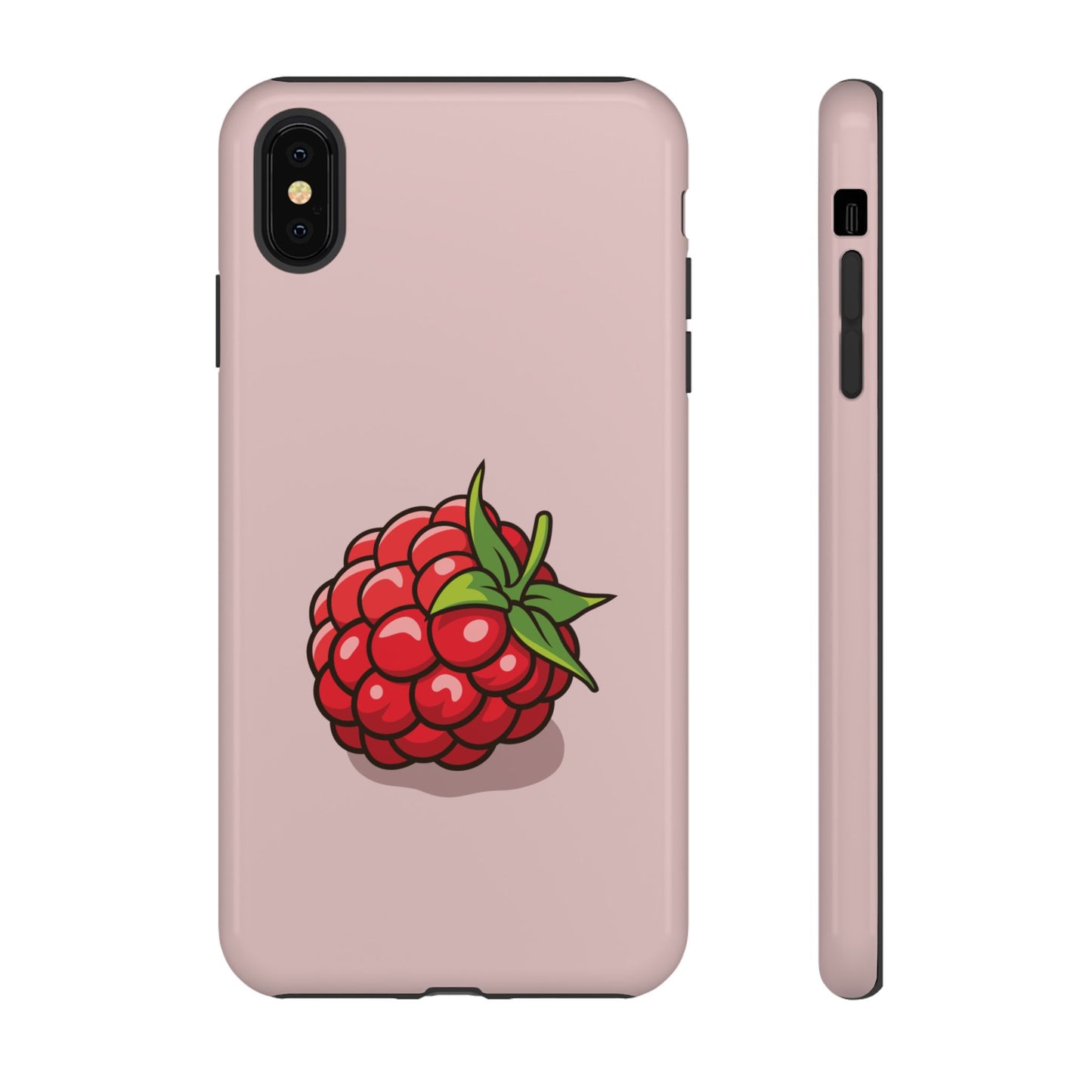 Raspberry Case