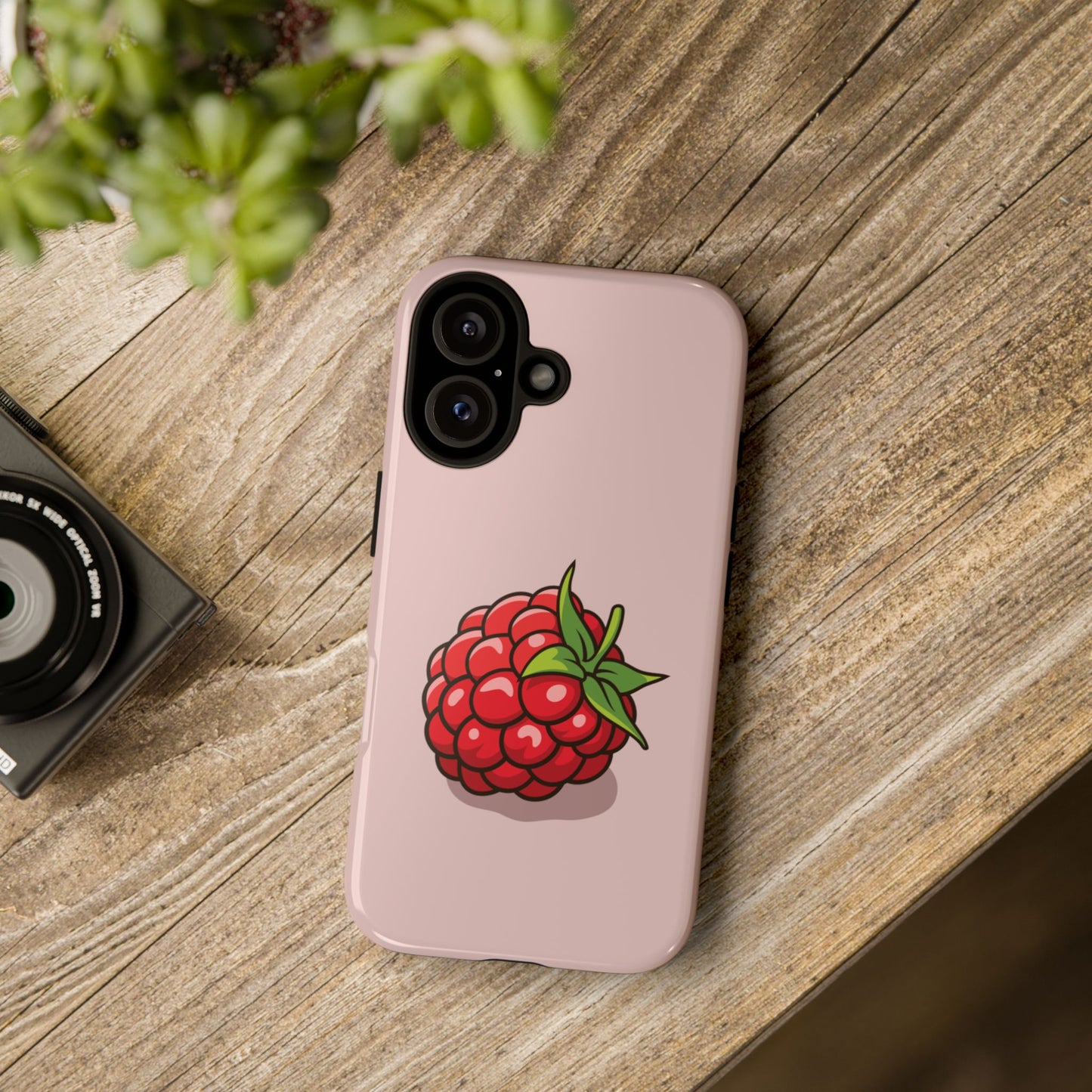 Raspberry Case