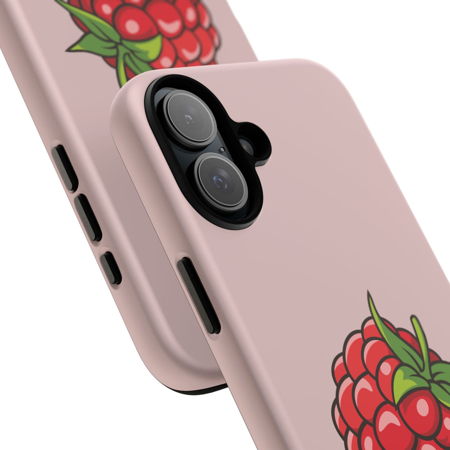 Raspberry Case