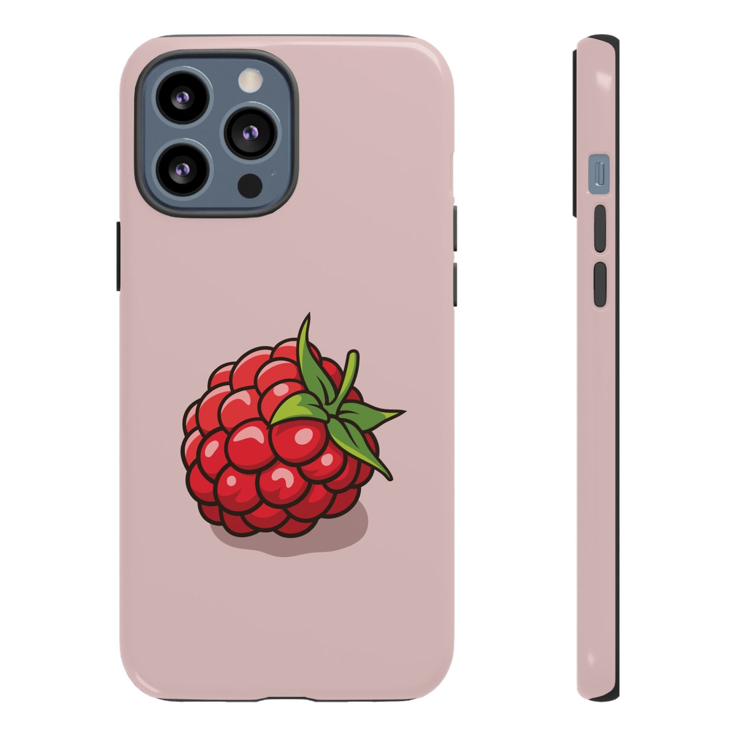 Raspberry Case