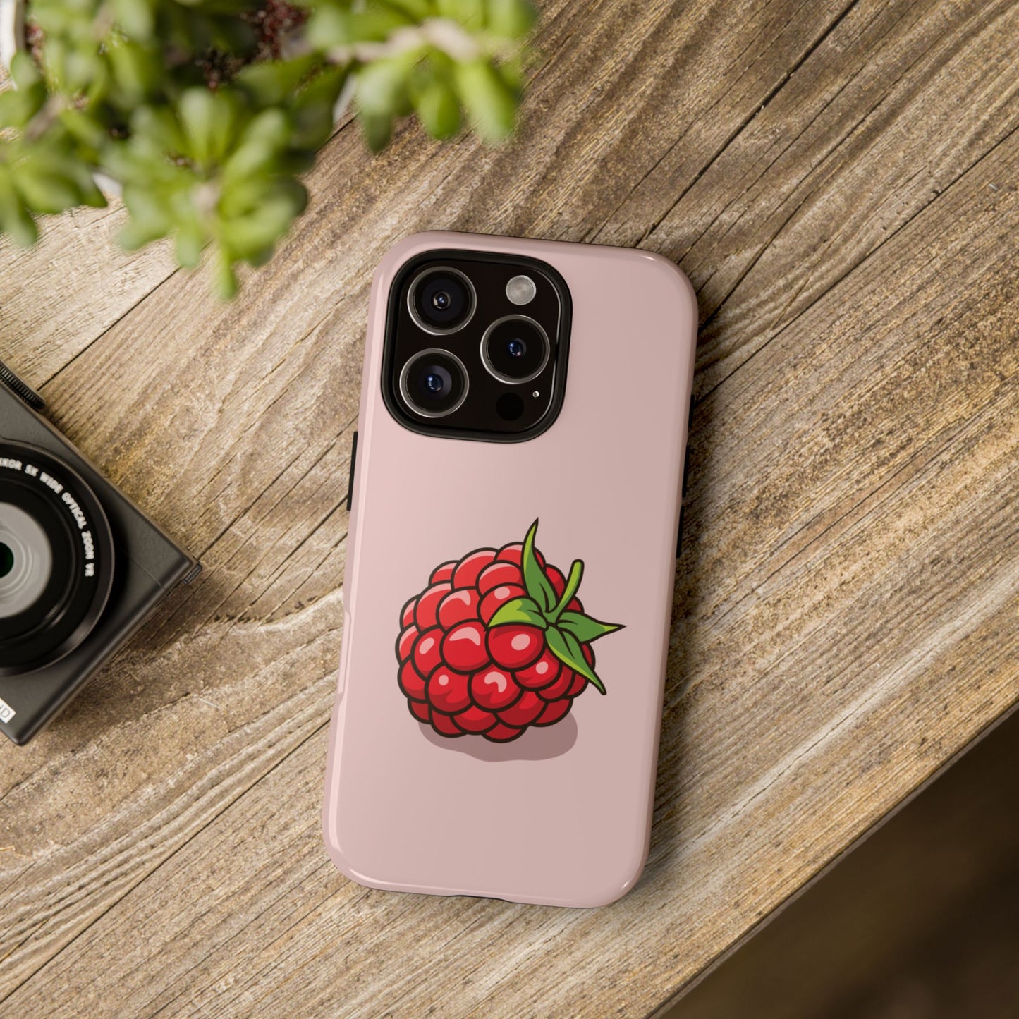 Raspberry Case