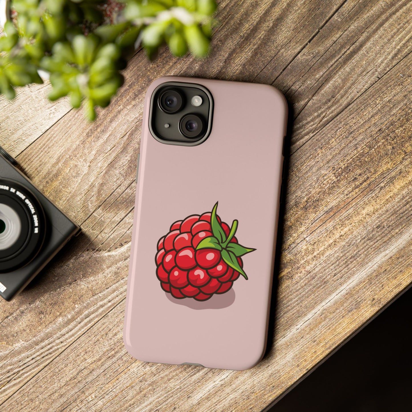 Raspberry Case