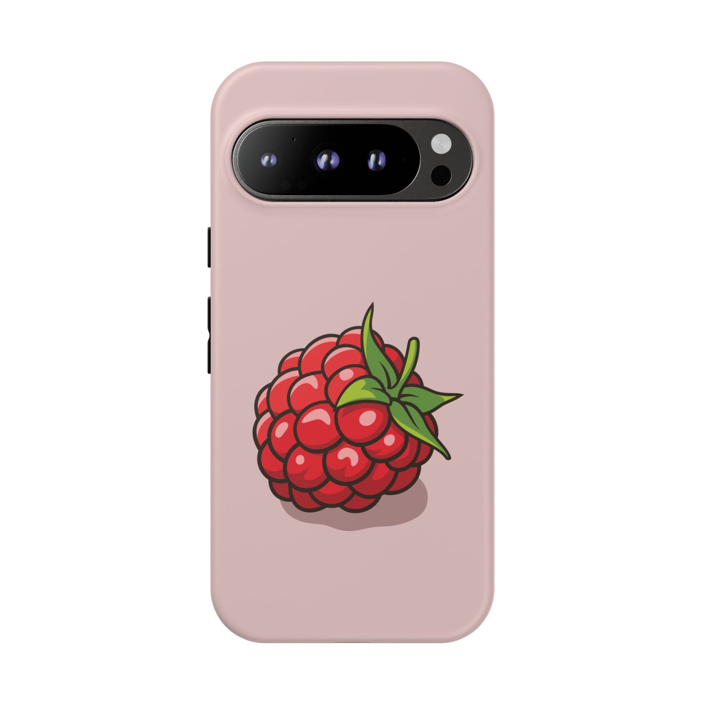 Raspberry Case