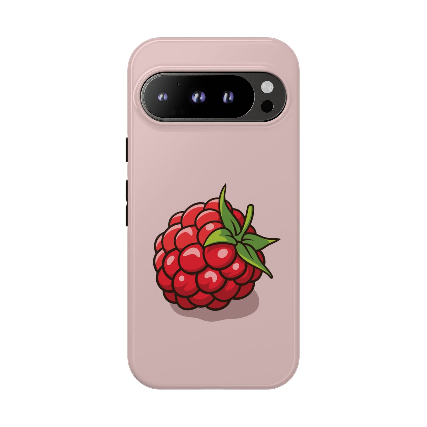 Raspberry Case